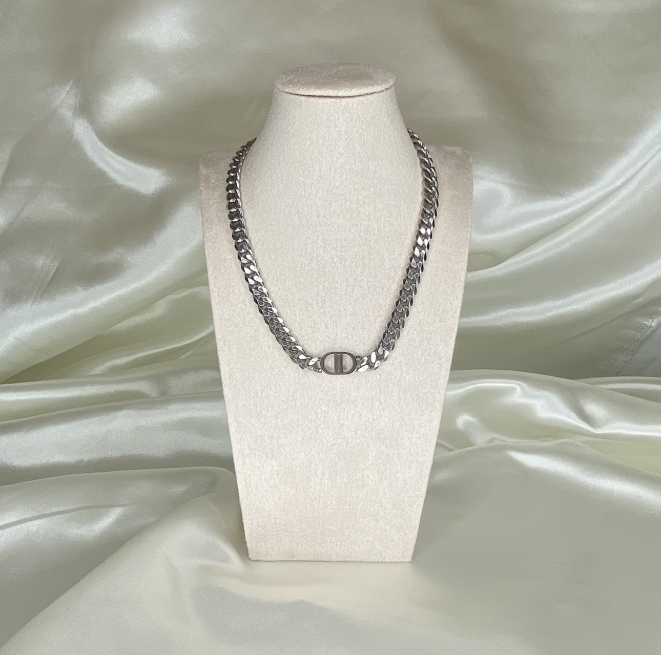 S. Steel Dior Look a Like