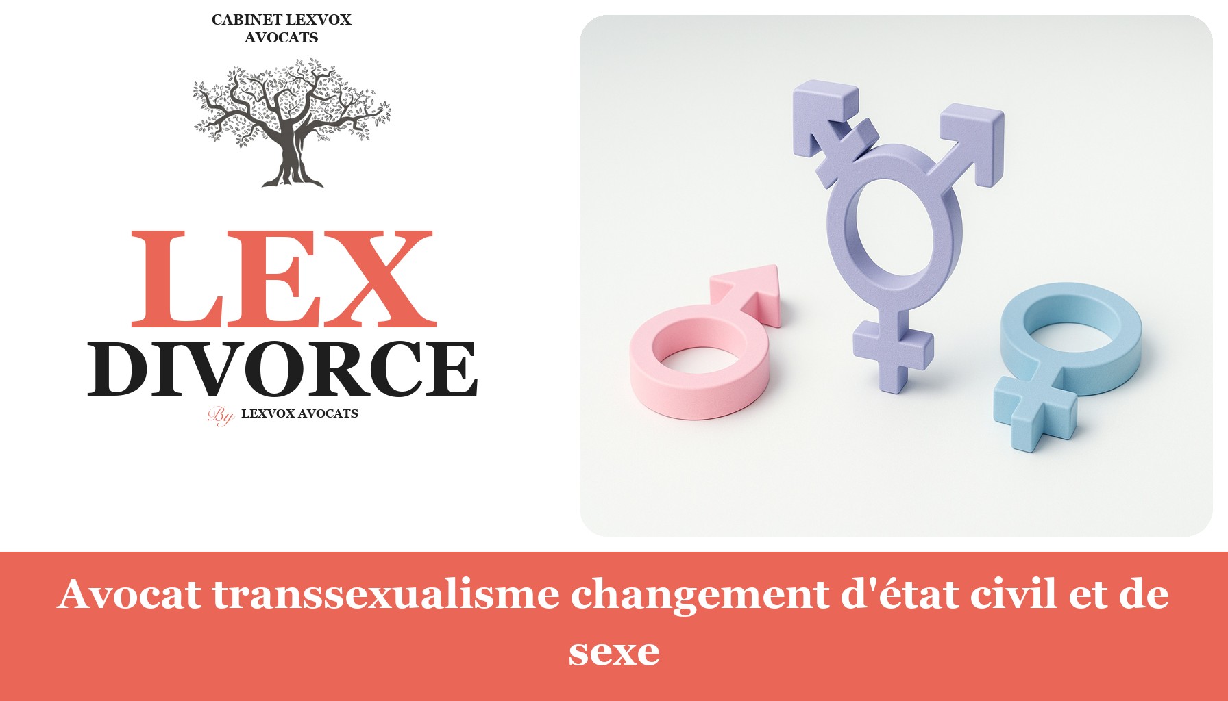 Avocat transsexualisme changement d'état civil et de sexe