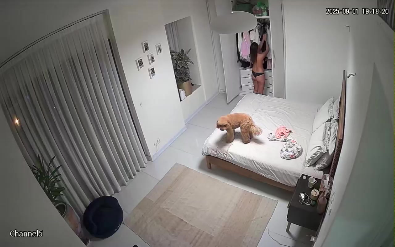 Hidden Voyeur — 1_5179177156734879591 — screenshot 2
