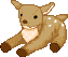 deerno