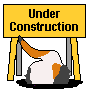 Construction Guy