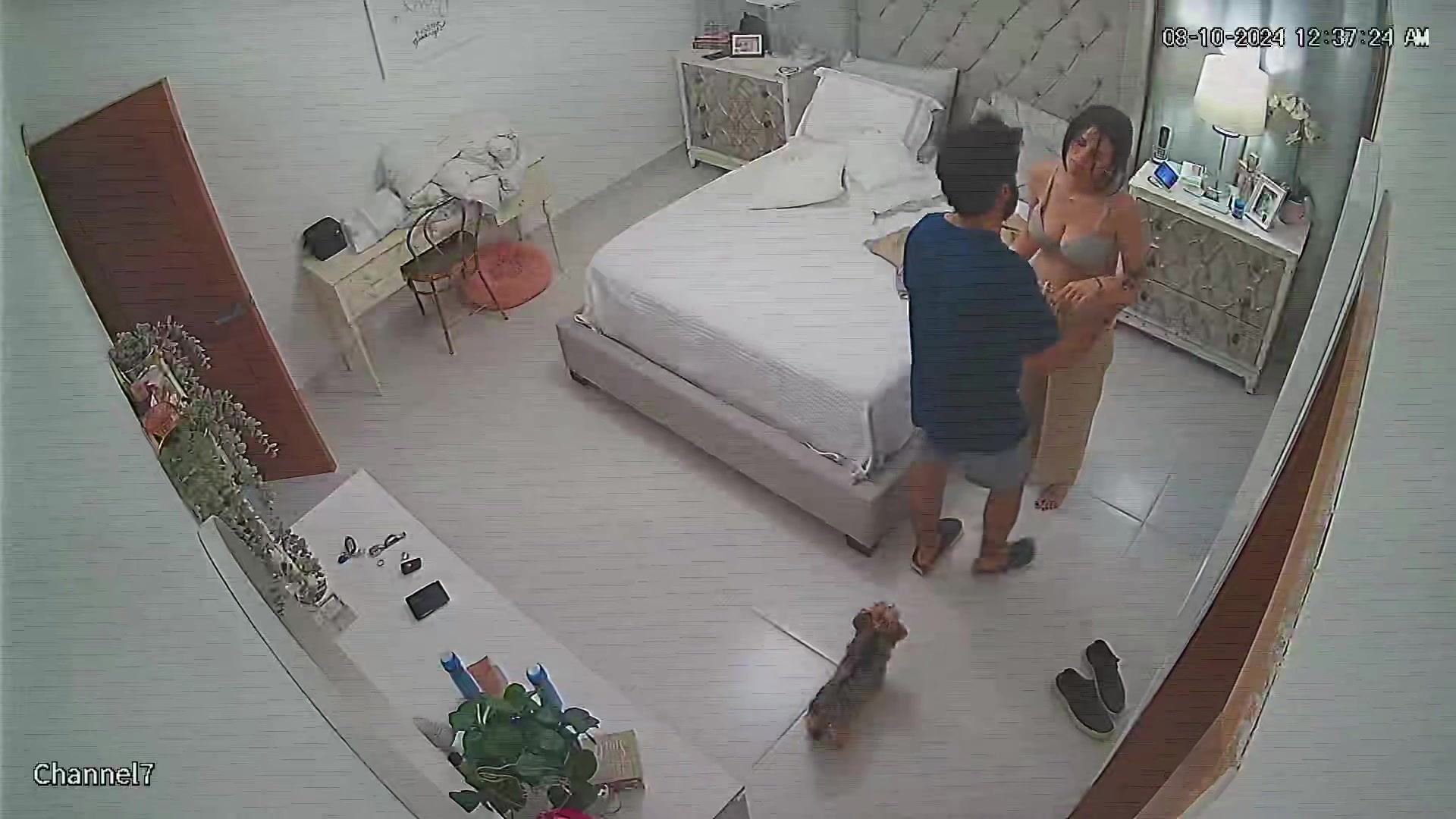 Hidden Voyeur — 1_5120938546957387724 — screenshot 2