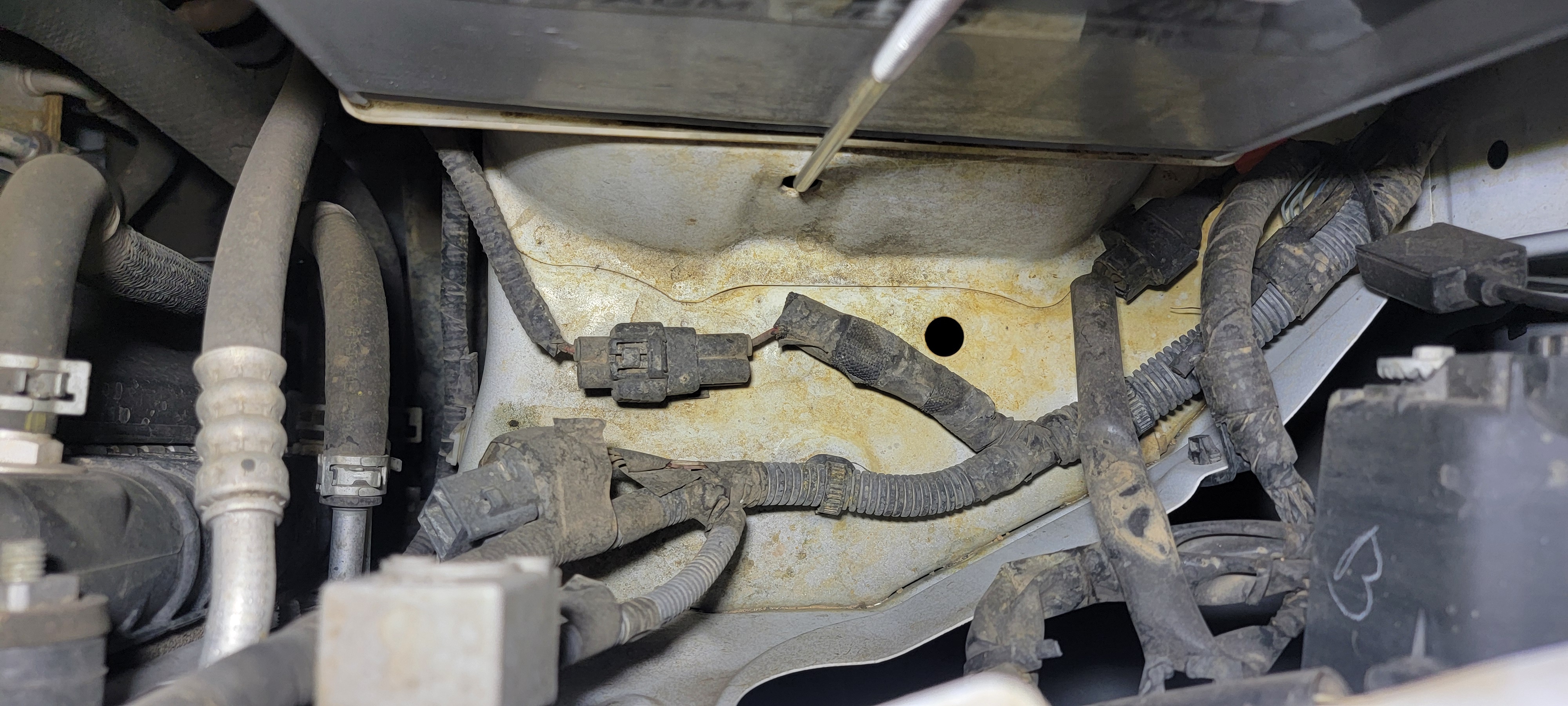 Before I clean my engine bay, does this wiring look normal/factory