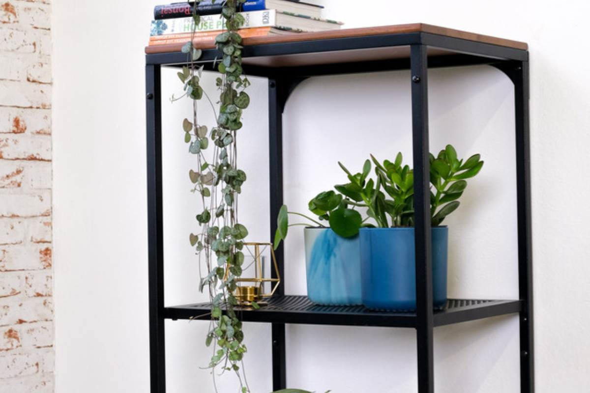 Black metal and wood shelf against exposed brick with stacked plant books, brass, and a trailing String of Hearts