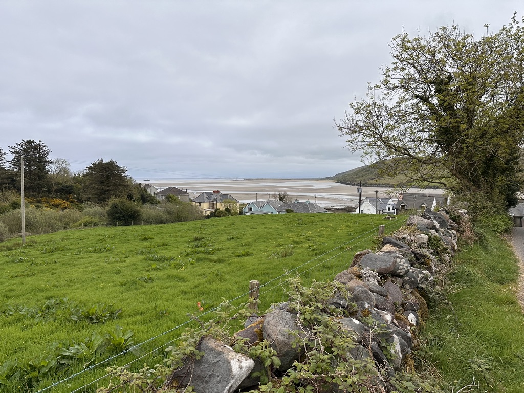 LowTide
