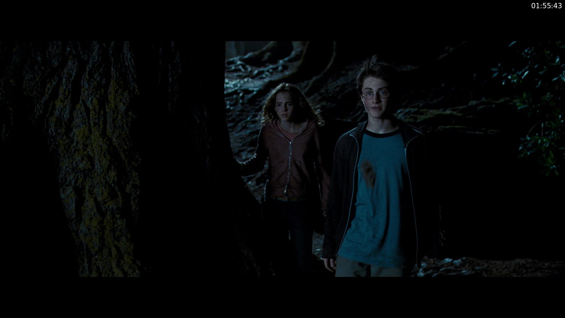 Harry Potter and the Prisoner of Azkaban screenshot