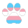 trans flag
