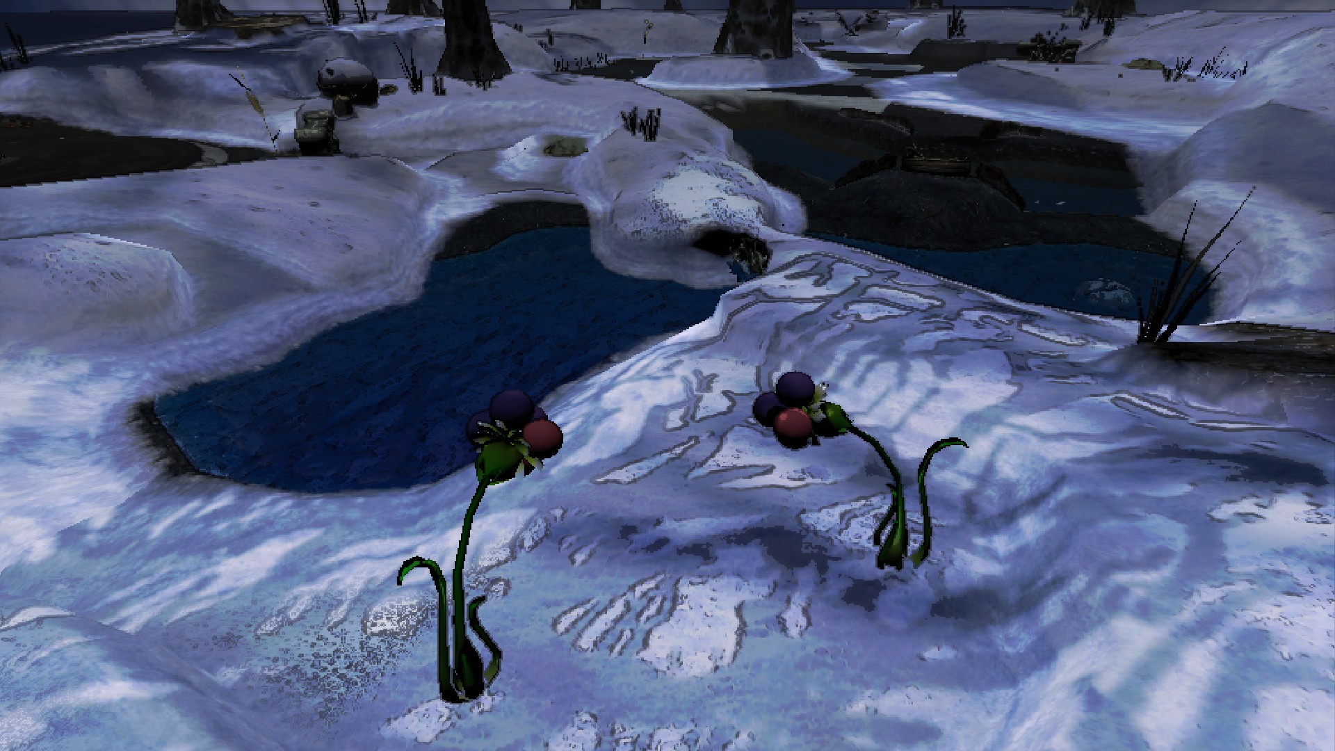 New Spiderwort location, near the wall near main (Emergence Cave).