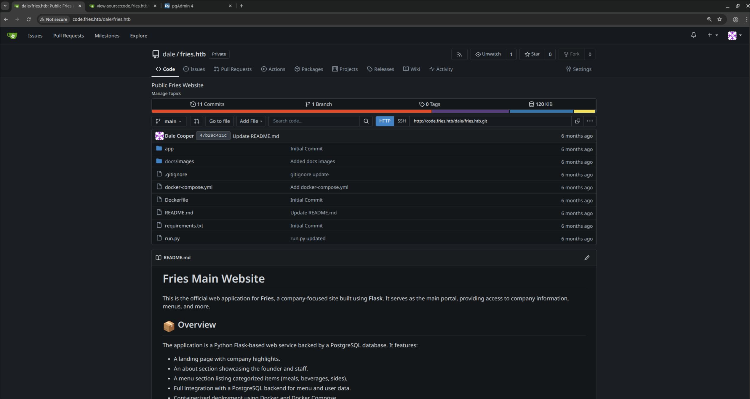 Gitea repo logged in
