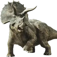 triceratops