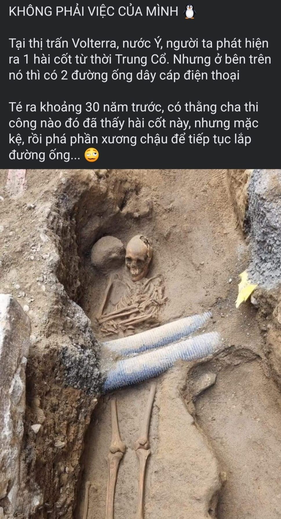 w4avdy.jpg