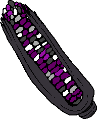 asexual flag colored corn on the cob