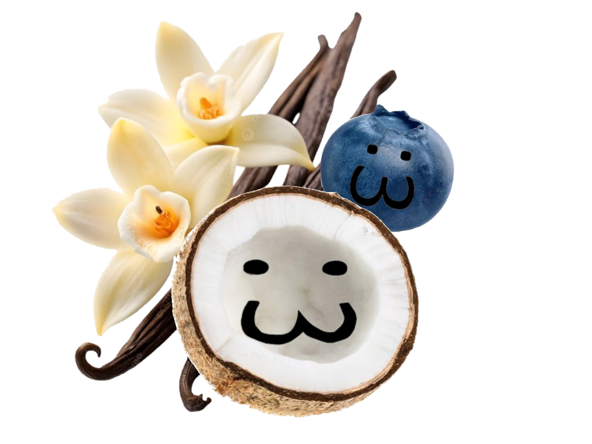 vanillacoconutblueberry