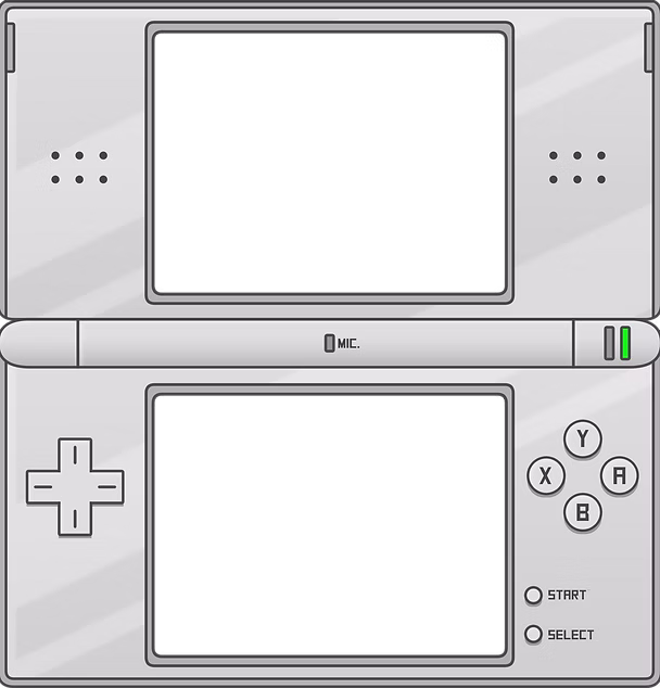 DS CONSOLE