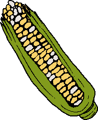 corn on the cob