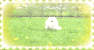 flower dog