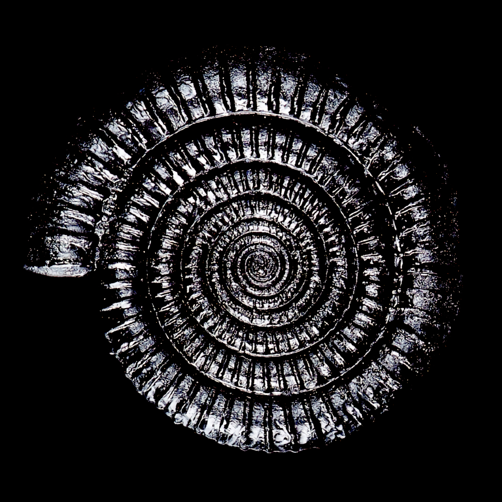 spiral's profile picture