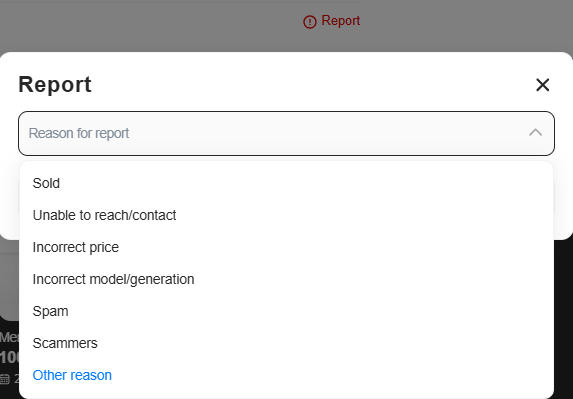 Report Dialog Interface