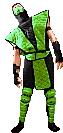 Reptile
