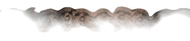 fadedlacetop fadedlacetop