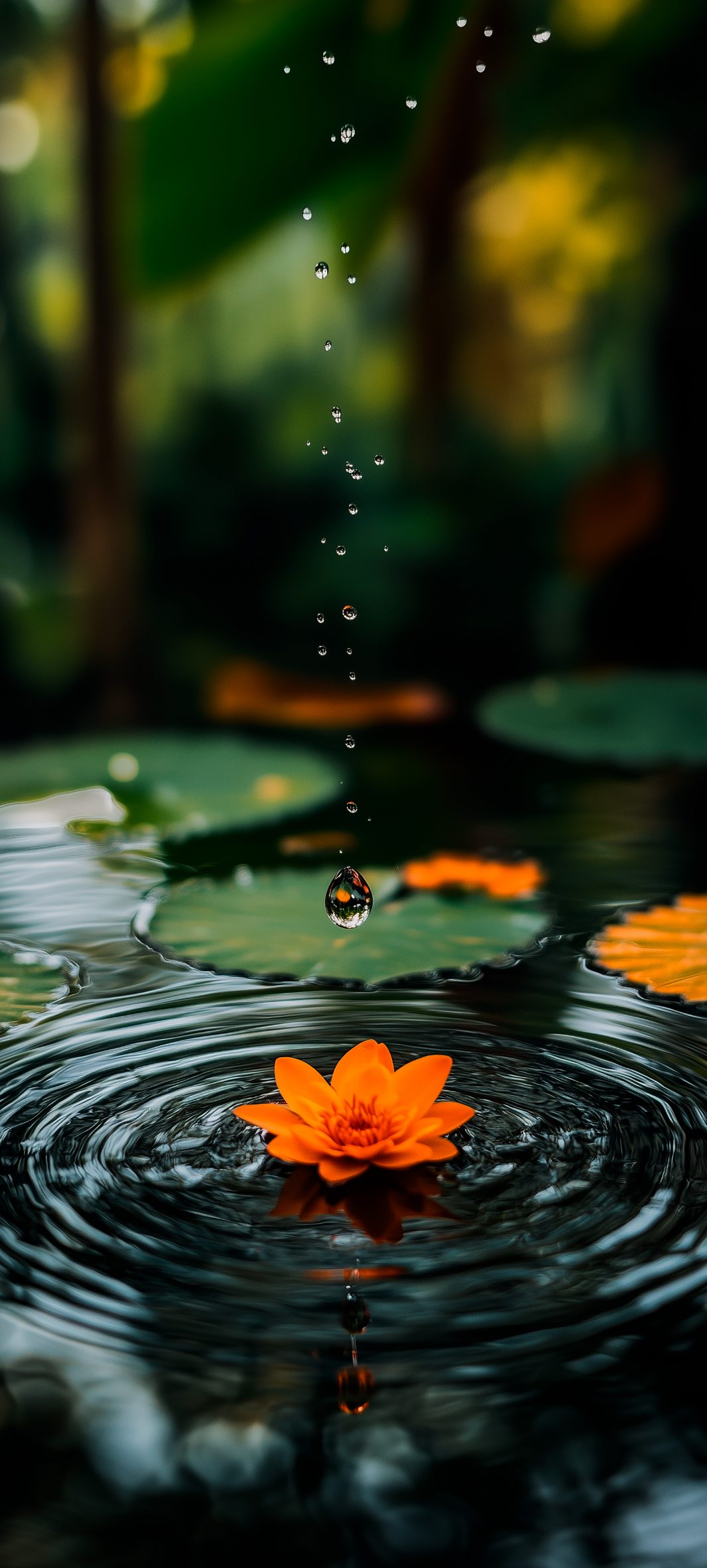 Flowers Wallpaper