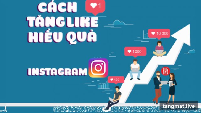 Channel Members service on Instagram at Tangmat.live