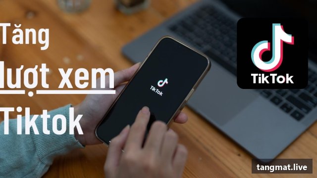 Video Views service on Tiktok at Tangmat.live