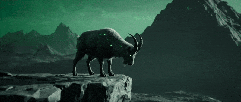 Animated GIF display