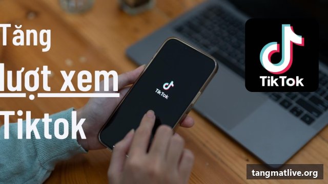 Dịch vụ tăng view Tiktok tại Tangmatlive.org