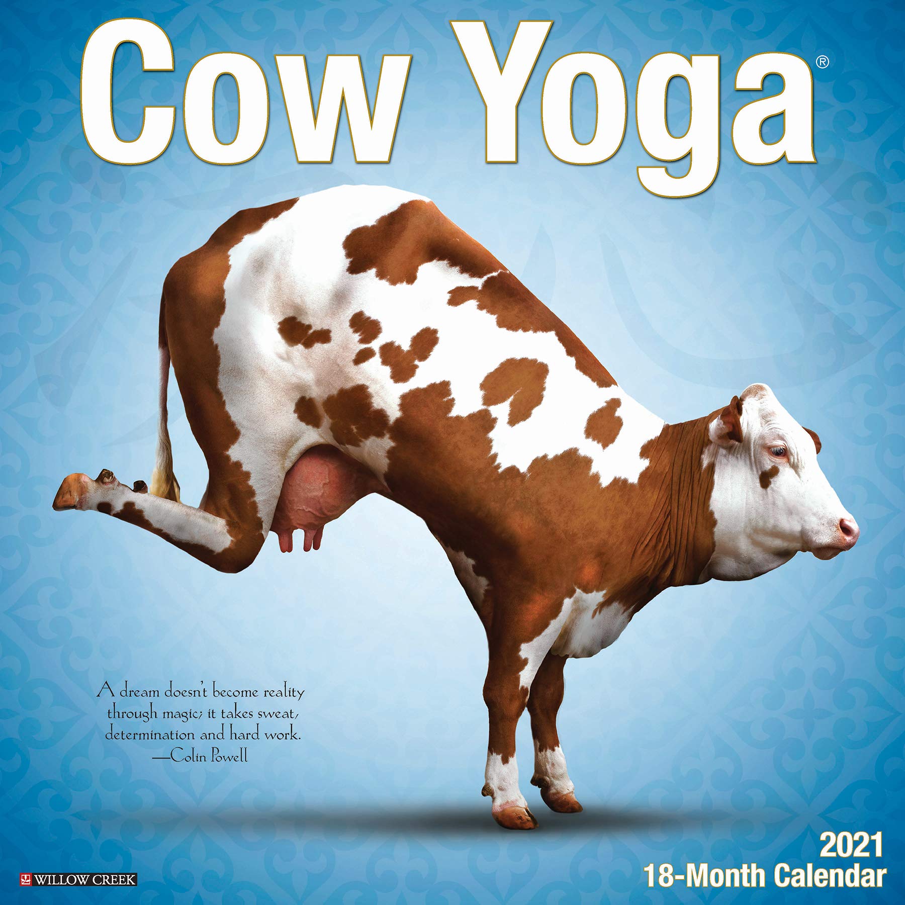 cow yoga