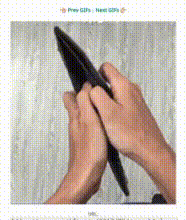 wz12ds.gif