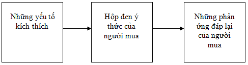 mô hình ý thức người tiêu dùng