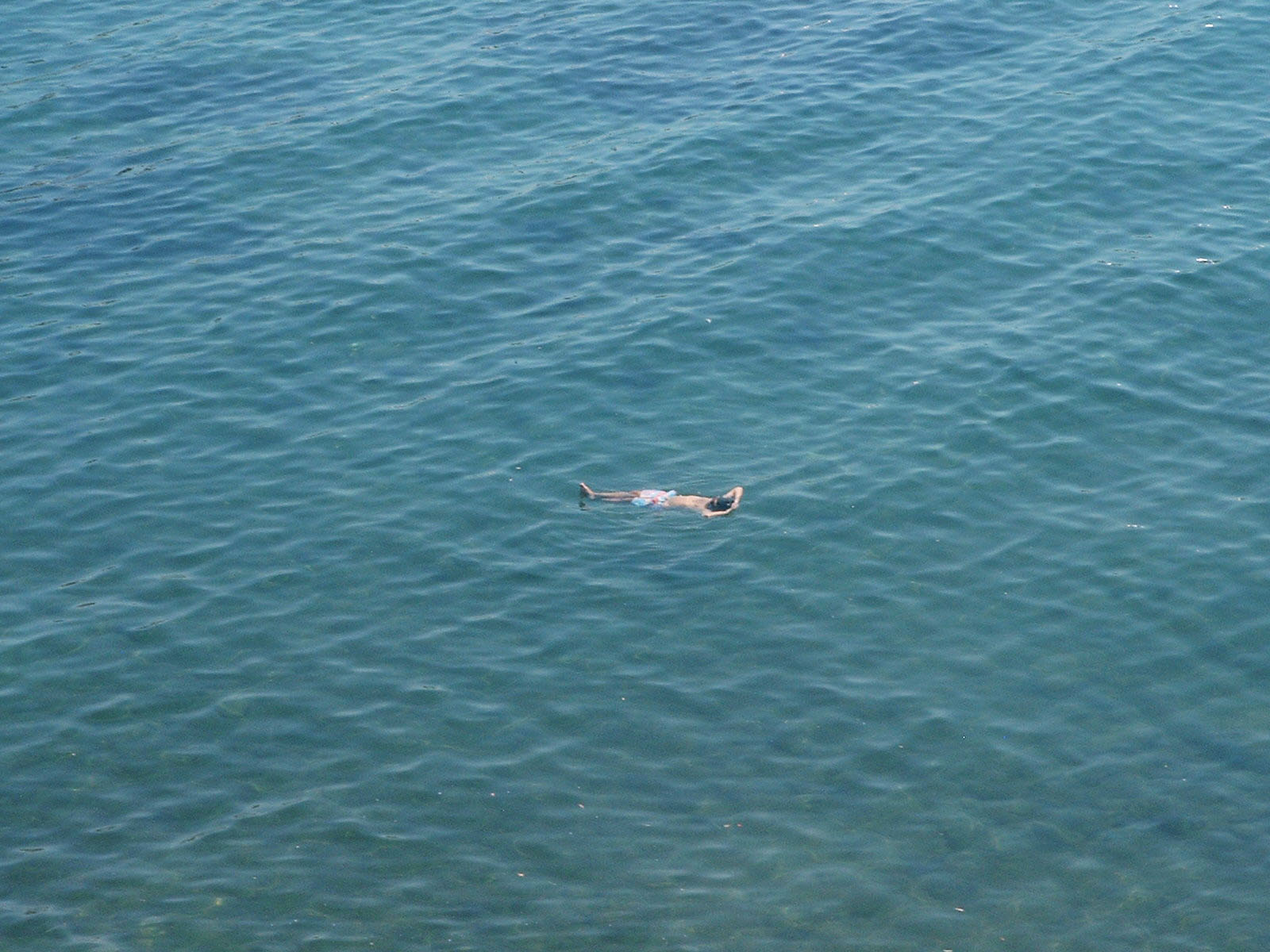 solo swimmer in ocean
