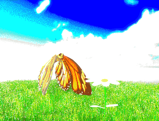 A beautiful landscape