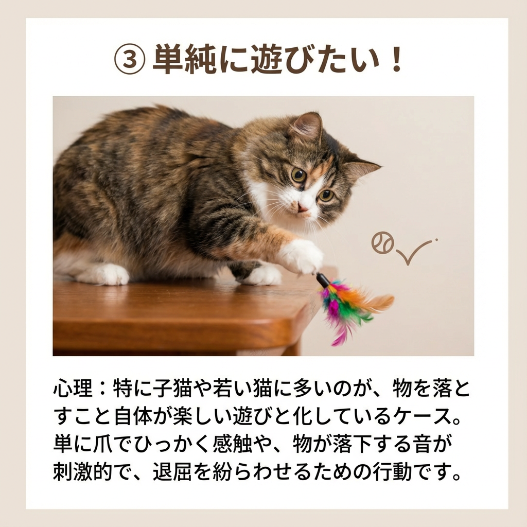 猫がテーブルの物を落とす理由とは?その心理を徹底解剖! - Image 5