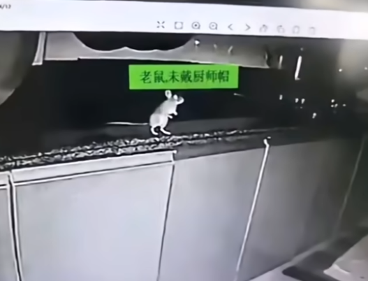 https://files.catbox.moe/xfb4ps.png