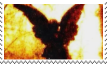 petrapixel