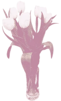 The Shoujo Girl 's Tulipiere ◟
Recoloured by Maisie ◟Not free to use !