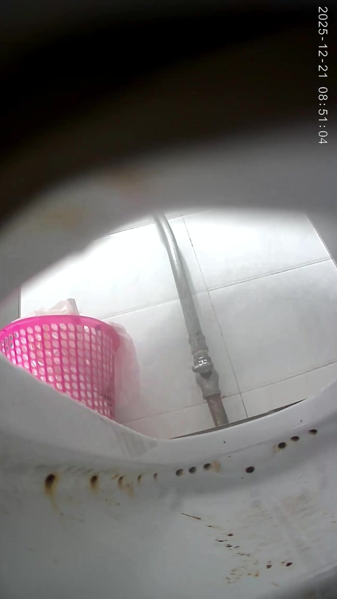 Toilet Spy — 0508(74) — screenshot 2