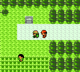 Pokemon Crystal Leaf