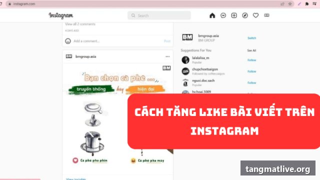 Dịch vụ tăng like Instagram tại Tangmatlive.org