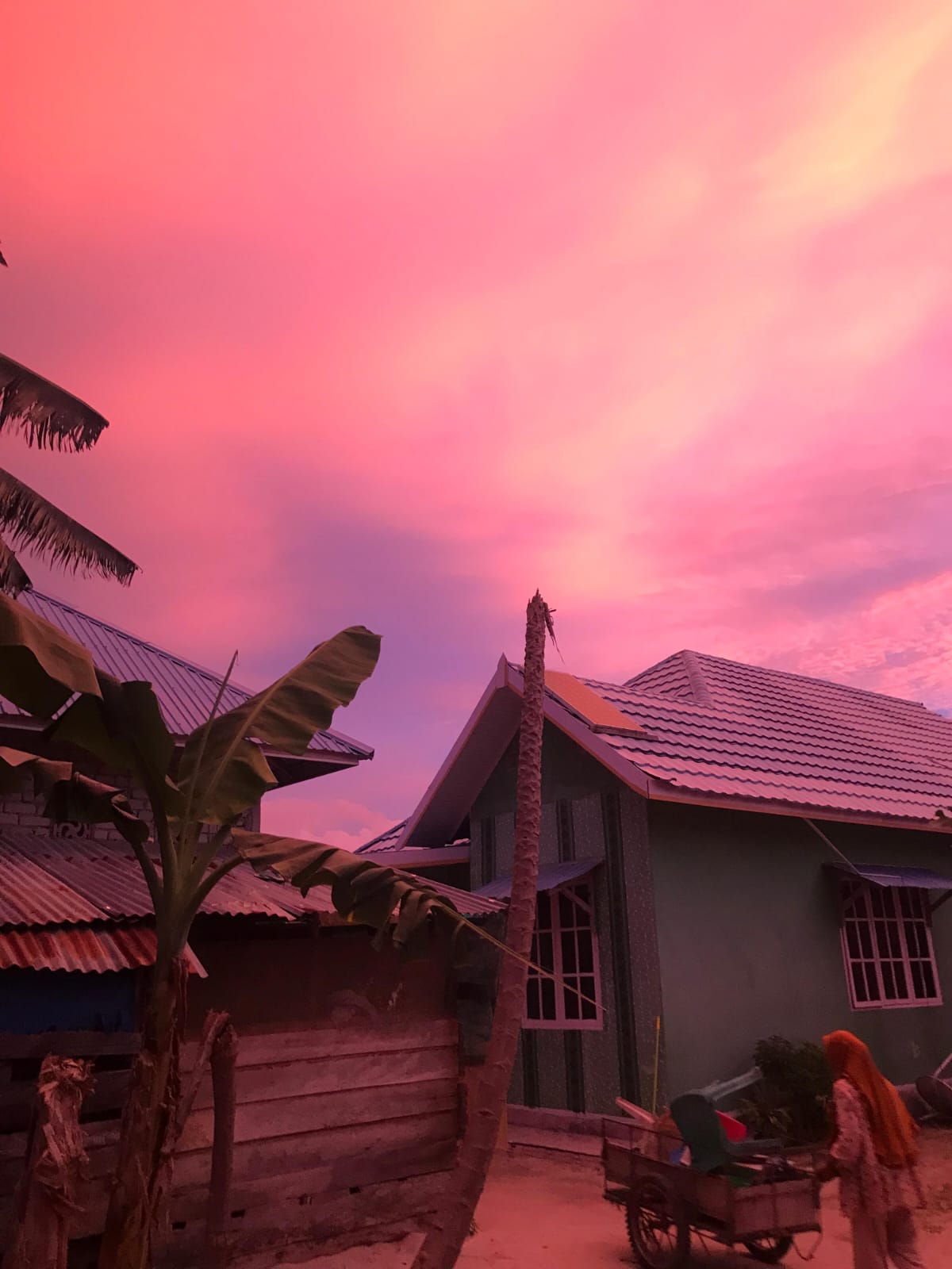SUNSET 8