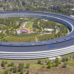 Will Apple shares finish higher on Friday than on Thursday? - DuelDuck prediction market