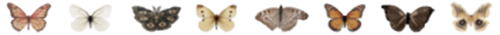xy27er.png