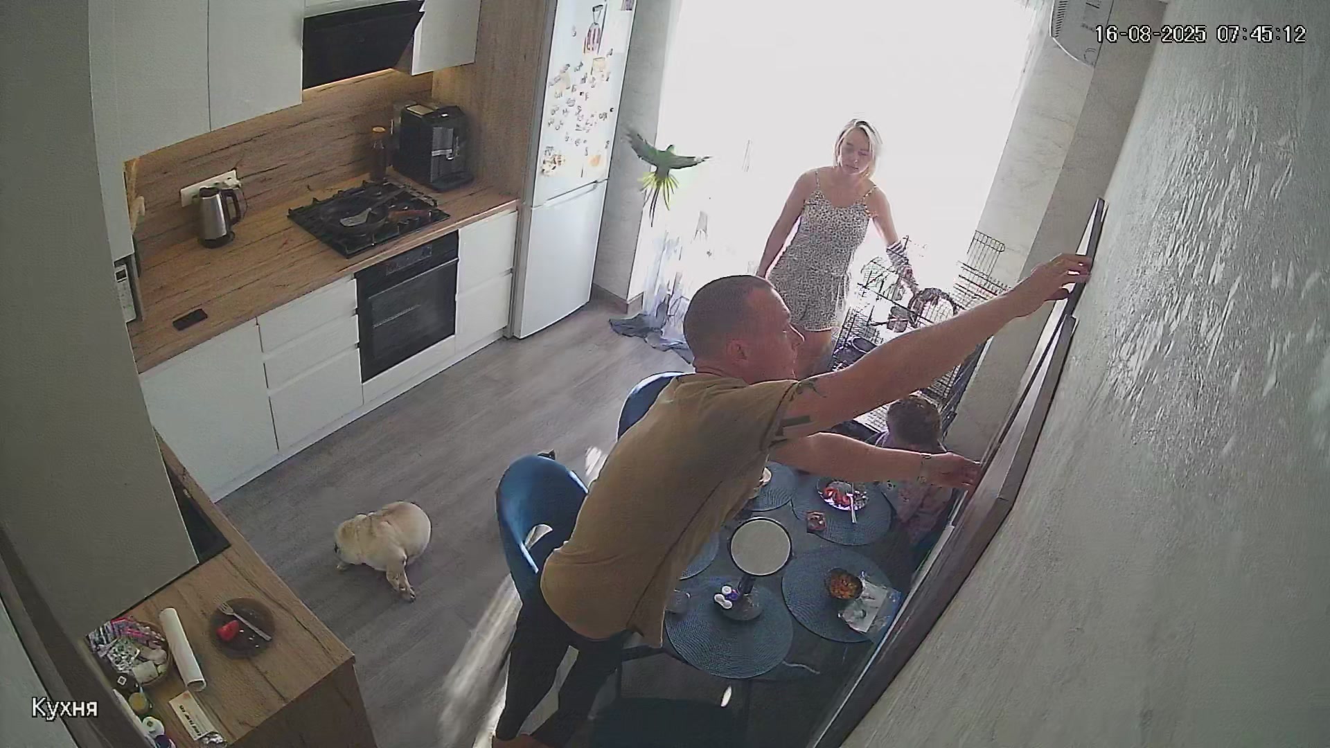 Hidden Voyeur 2 — 1_5159218714293307544 — screenshot 2