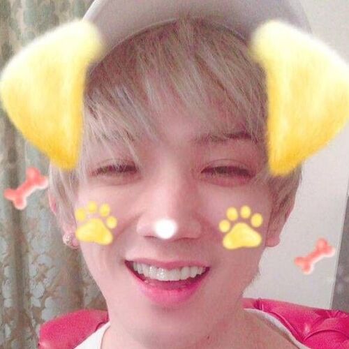 im so obsessed with this fucking image im so obsessed with this fucking image