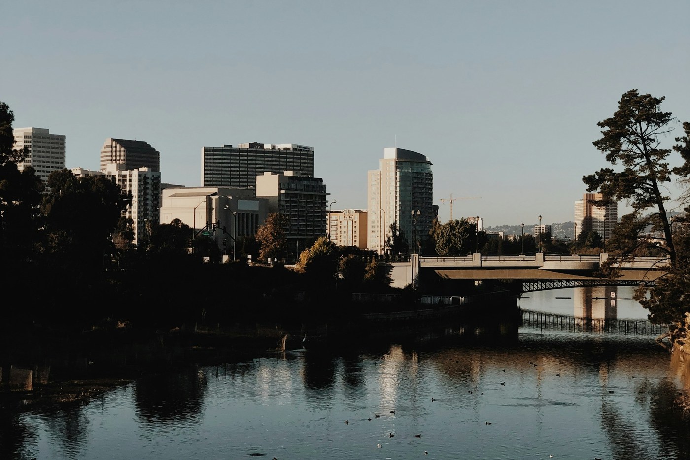 Downtown Oakland buildings rise beyond calm water beneath a pale California sky.