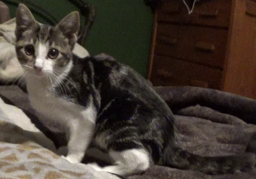 milkostaringintomysoul