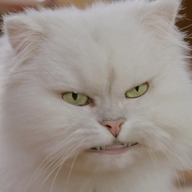 Oh, oh! Hairball! Major hairball! And yet we continue to lick ourselves. Unbelievable!