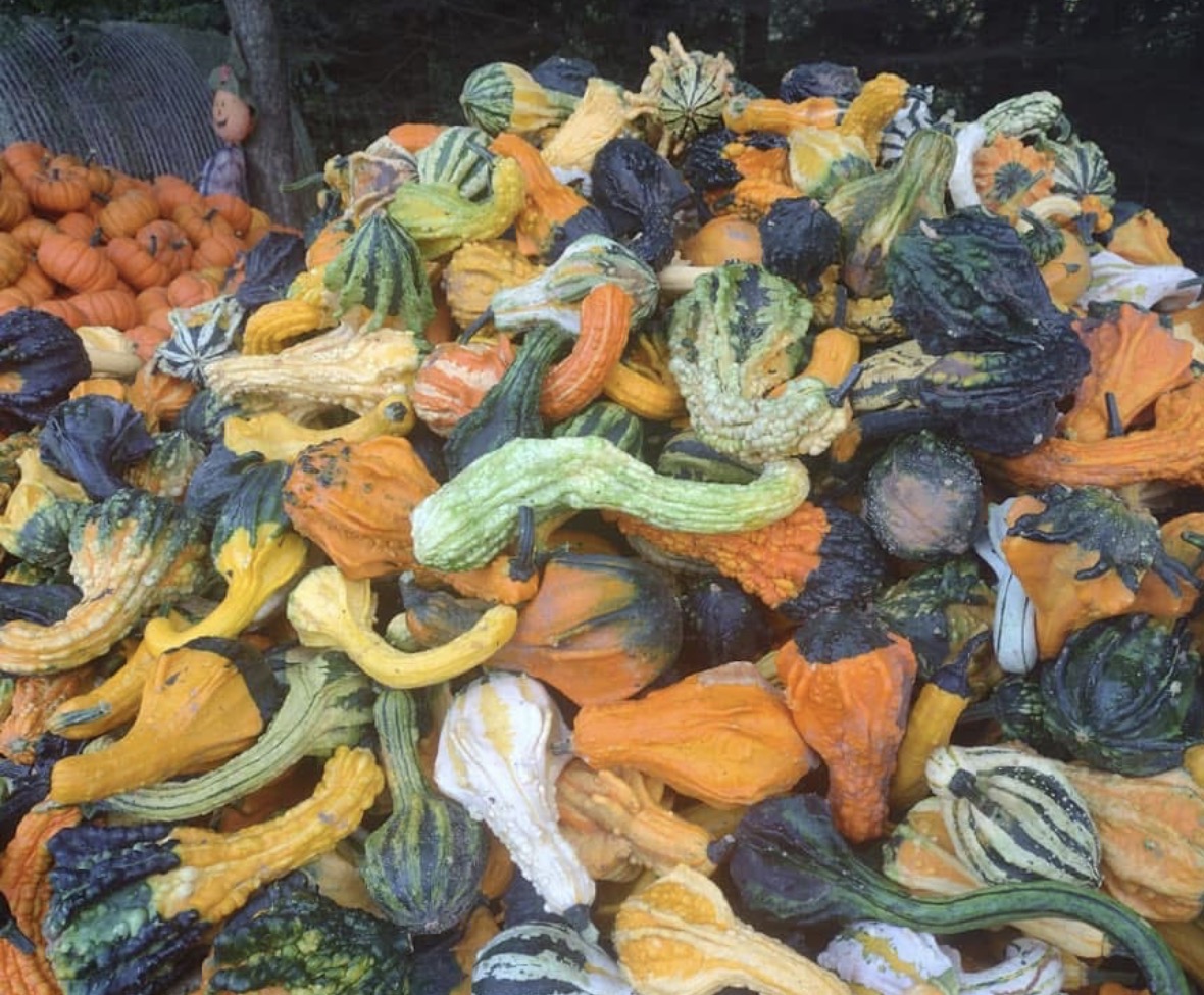 Autumn harvest stacked deep at DJ's Fresh Market, Appleton Wisconsin